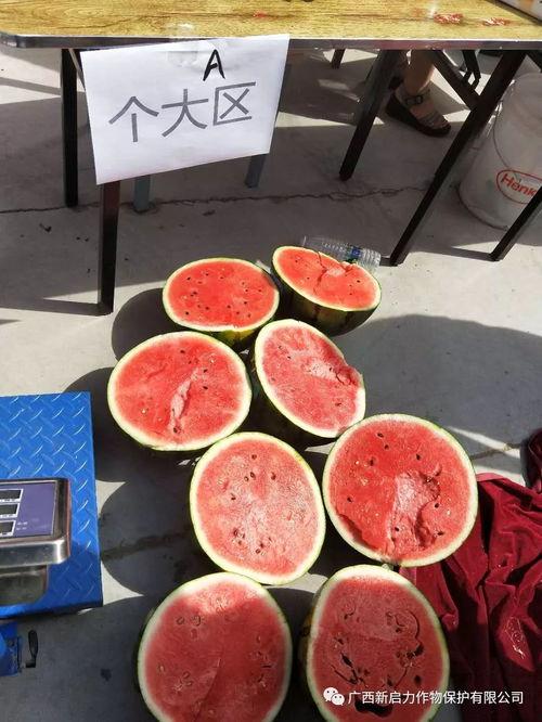 新瓜最新爆料广西,揭秘背后惊人真相!” 第1张 新瓜最新爆料广西,揭秘背后惊人真相!” 第1张