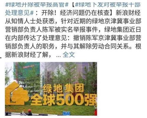 绿地史睿生最新爆料,揭秘绿地集团发展背后的故事  第2张